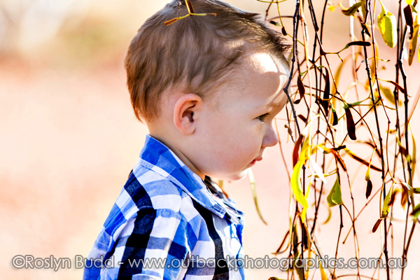 ©Roslyn Budd - www.buddphotography.com.au