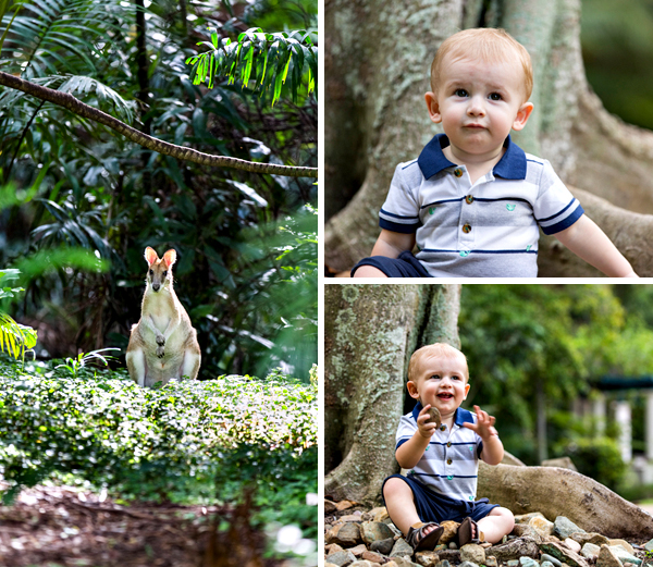 ©Roslyn Budd - www.buddphotography.com.au