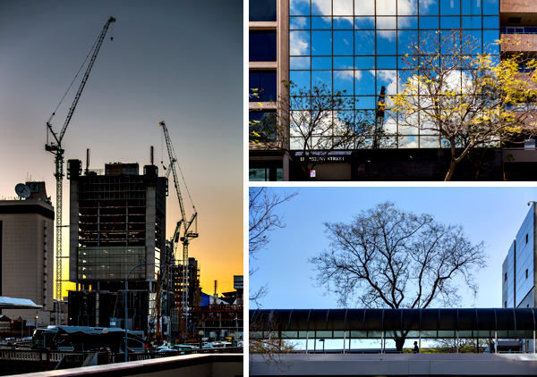 ©Roslyn Budd - www.buddphotography.com.au