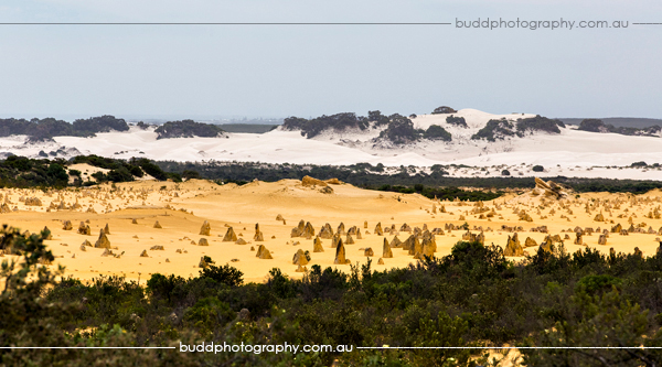 ©Roslyn Budd - www.buddphotography.com.au