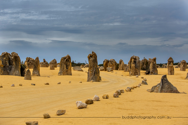 ©Roslyn Budd - www.buddphotography.com.au