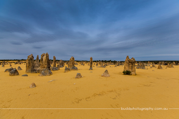 ©Roslyn Budd - www.buddphotography.com.au