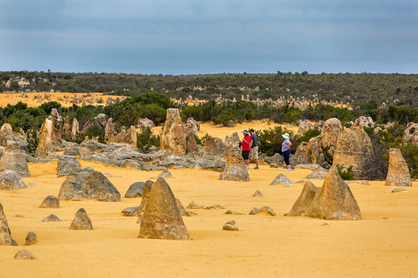 ©Roslyn Budd - www.buddphotography.com.au