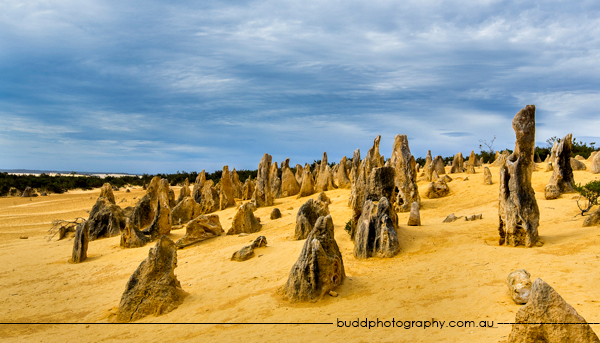 ©Roslyn Budd - www.buddphotography.com.au