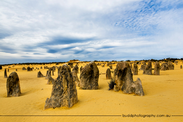 ©Roslyn Budd - www.buddphotography.com.au