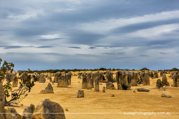 ©Roslyn Budd - www.buddphotography.com.au