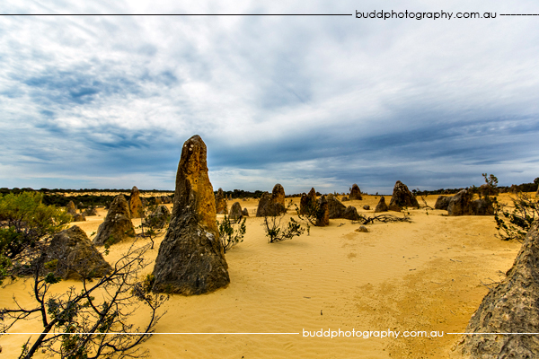 ©Roslyn Budd - www.buddphotography.com.au