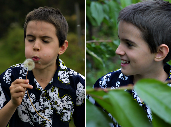 ©Roslyn Budd - www.buddphotography.com.au