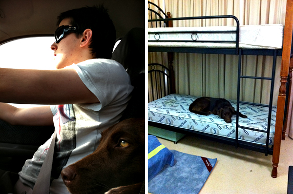 ©Roslyn Budd - www.buddphotography.com.au