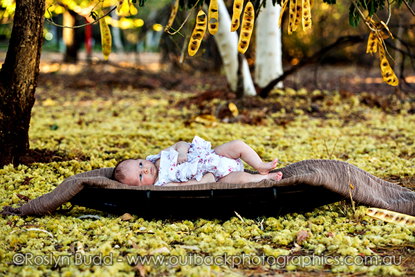 ©Roslyn Budd - www.buddphotography.com.au