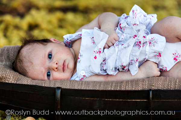 ©Roslyn Budd - www.buddphotography.com.au