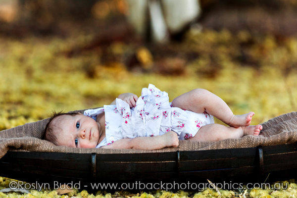 ©Roslyn Budd - www.buddphotography.com.au