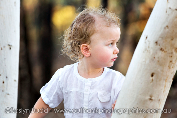 ©Roslyn Budd - www.buddphotography.com.au