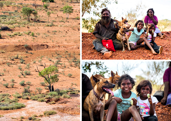 ©Roslyn Budd - www.buddphotography.com.au