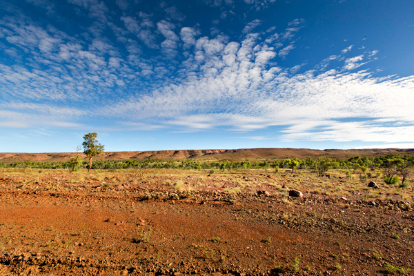 ©Roslyn Budd - www.buddphotography.com.au