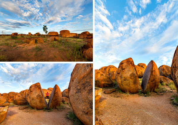 ©Roslyn Budd - www.buddphotography.com.au