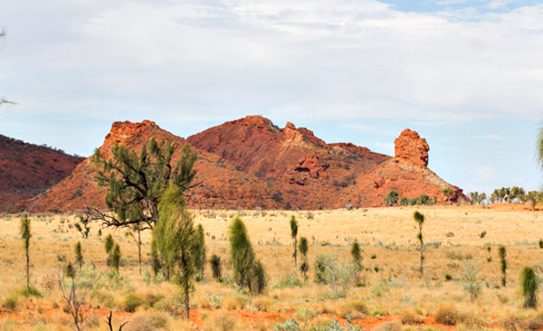 ©Roslyn Budd - www.buddphotography.com.au