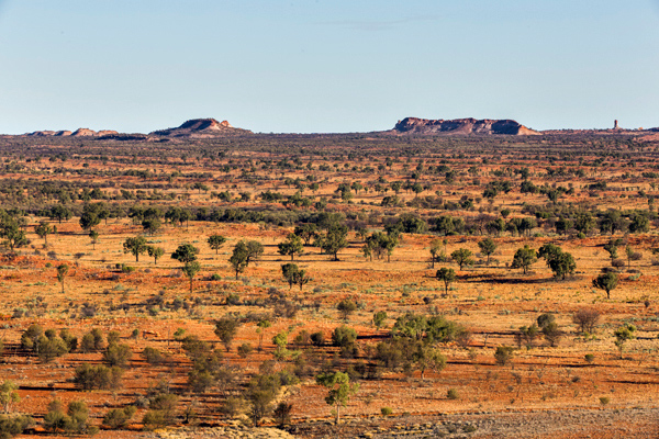 ©Roslyn Budd - www.buddphotography.com.au