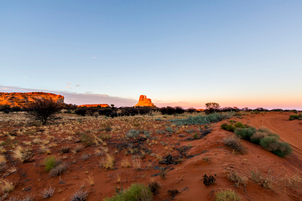 ©Roslyn Budd - www.buddphotography.com.au