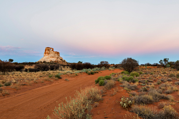 ©Roslyn Budd - www.buddphotography.com.au