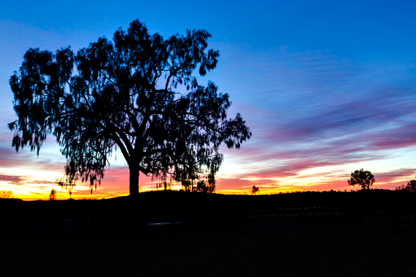 ©Roslyn Budd - www.buddphotography.com.au