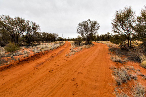 ©Roslyn Budd - www.buddphotography.com.au