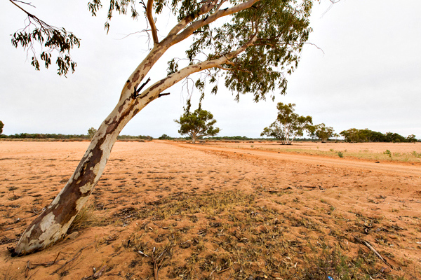 ©Roslyn Budd - www.buddphotography.com.au