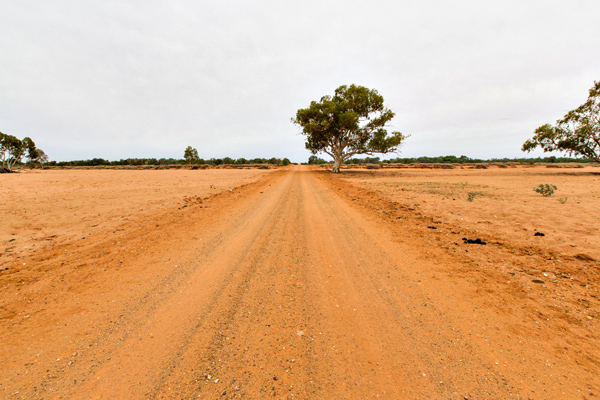 ©Roslyn Budd - www.buddphotography.com.au