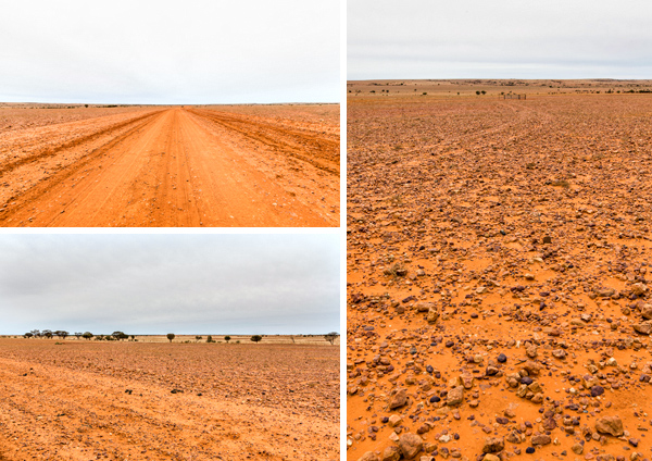 ©Roslyn Budd - www.buddphotography.com.au