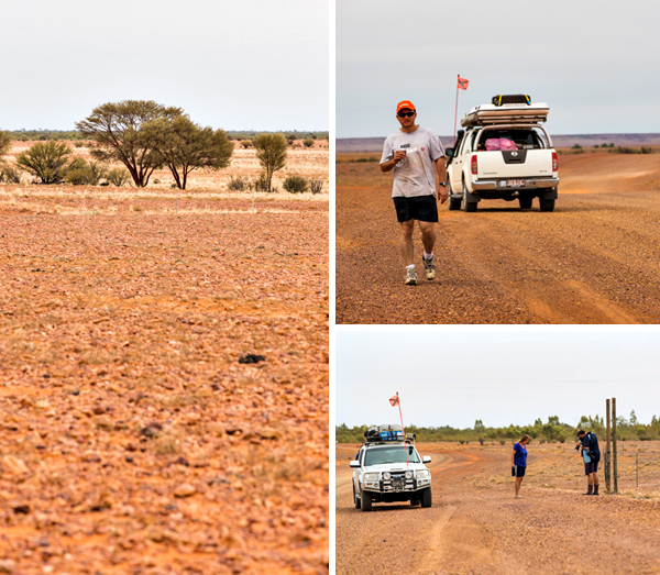 ©Roslyn Budd - www.buddphotography.com.au