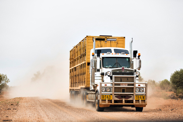 ©Roslyn Budd - www.buddphotography.com.au