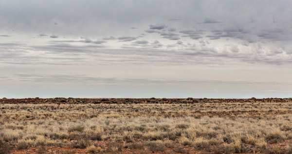 ©Roslyn Budd - www.buddphotography.com.au