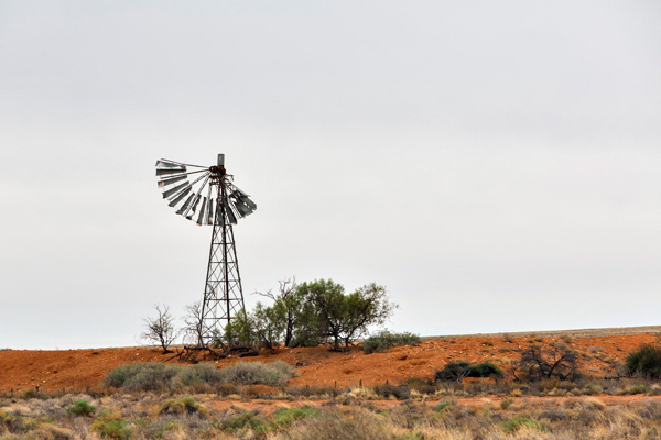 ©Roslyn Budd - www.buddphotography.com.au