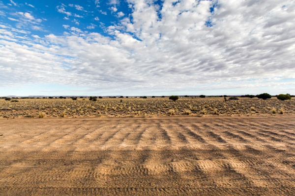 ©Roslyn Budd - www.buddphotography.com.au