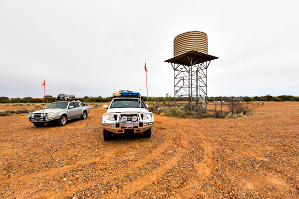 ©Roslyn Budd - www.buddphotography.com.au