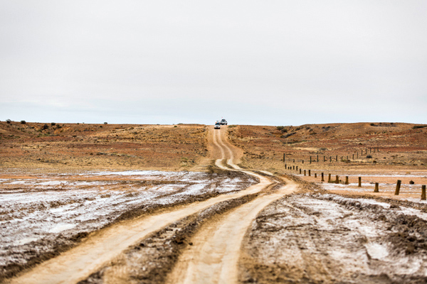 ©Roslyn Budd - www.buddphotography.com.au