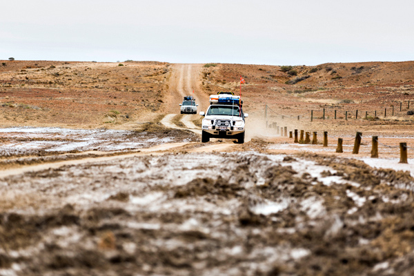 ©Roslyn Budd - www.buddphotography.com.au