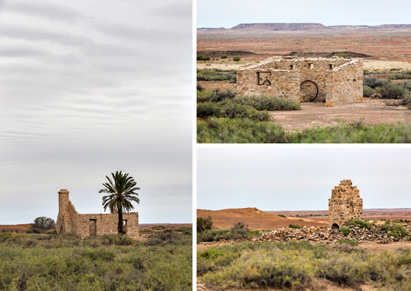 ©Roslyn Budd - www.buddphotography.com.au