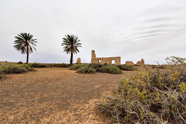 ©Roslyn Budd - www.buddphotography.com.au