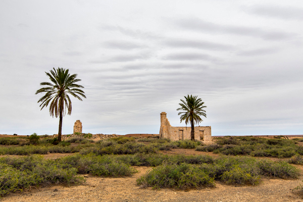 ©Roslyn Budd - www.buddphotography.com.au