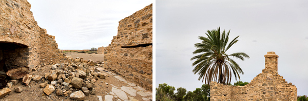 ©Roslyn Budd - www.buddphotography.com.au