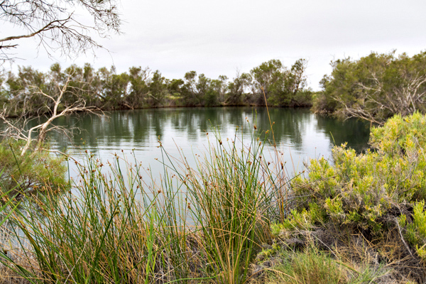 ©Roslyn Budd - www.buddphotography.com.au