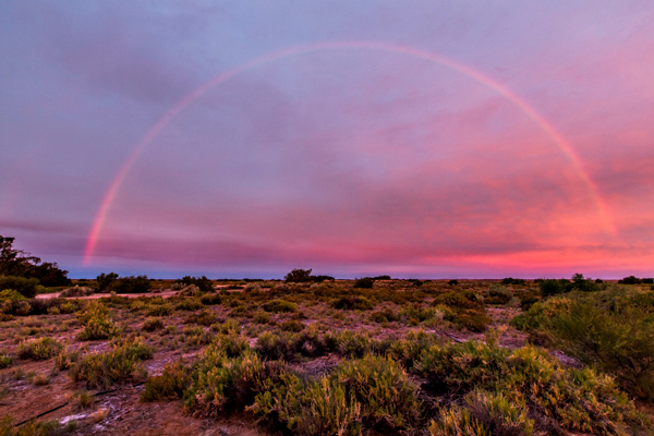 ©Roslyn Budd - www.buddphotography.com.au