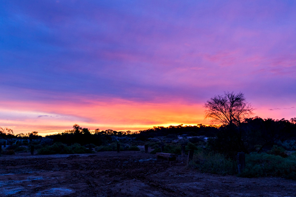 ©Roslyn Budd - www.buddphotography.com.au