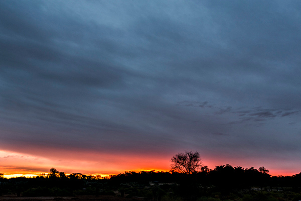 ©Roslyn Budd - www.buddphotography.com.au