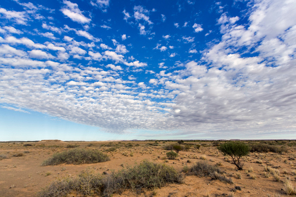 ©Roslyn Budd - www.buddphotography.com.au