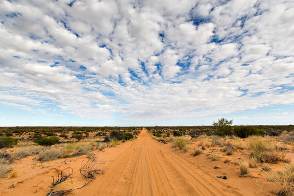 ©Roslyn Budd - www.buddphotography.com.au