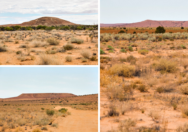 ©Roslyn Budd - www.buddphotography.com.au