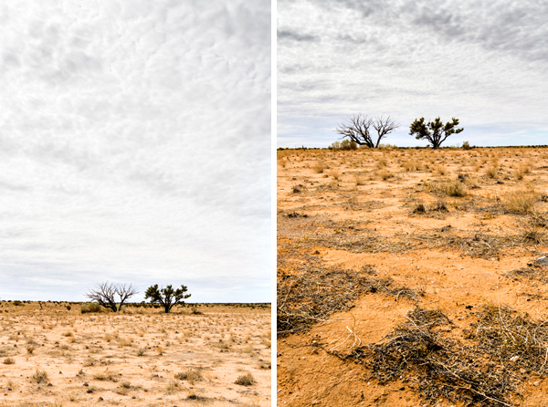 ©Roslyn Budd - www.buddphotography.com.au