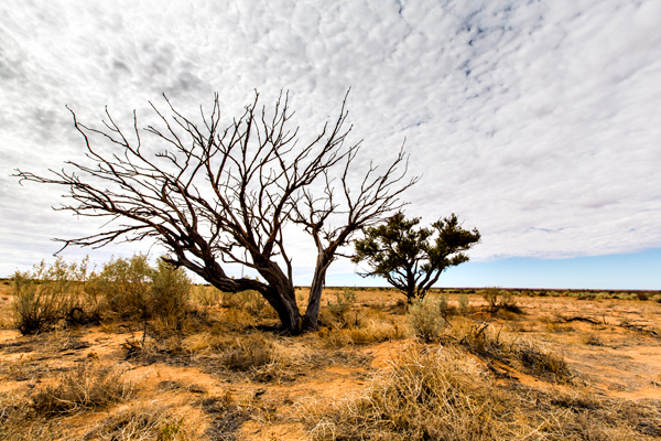 ©Roslyn Budd - www.buddphotography.com.au